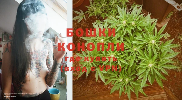 трава Верея