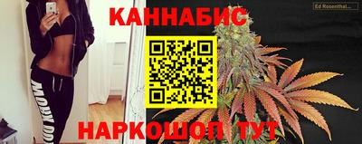 прущие грибы Жуковский