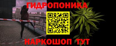 ECSTASY Заволжье