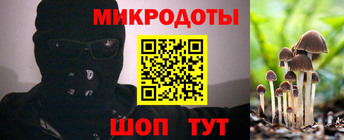 Псилоцибиновые грибы прущие грибы  Вход с VPN  Мытищи 