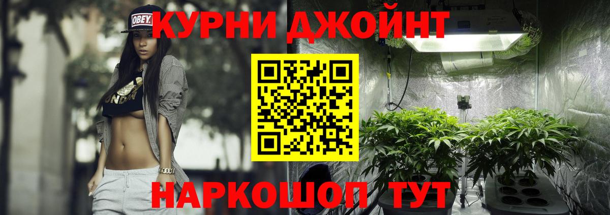 Конопля гибрид Мытищи